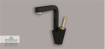 Golden black valves